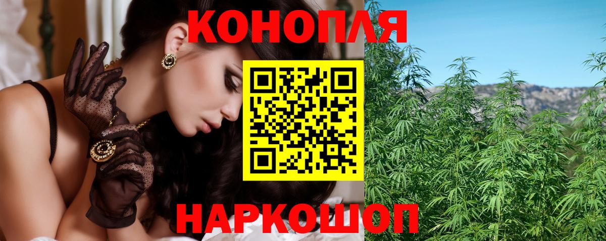 Бошки Шишки семена Дмитров